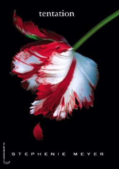 [D&eacute;sir interdit-2] Tentation