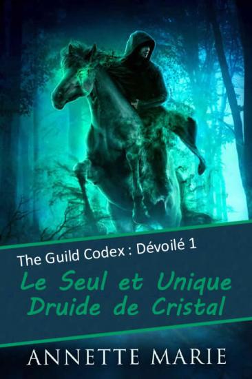 Le Seul et Unique Druide de Cristal